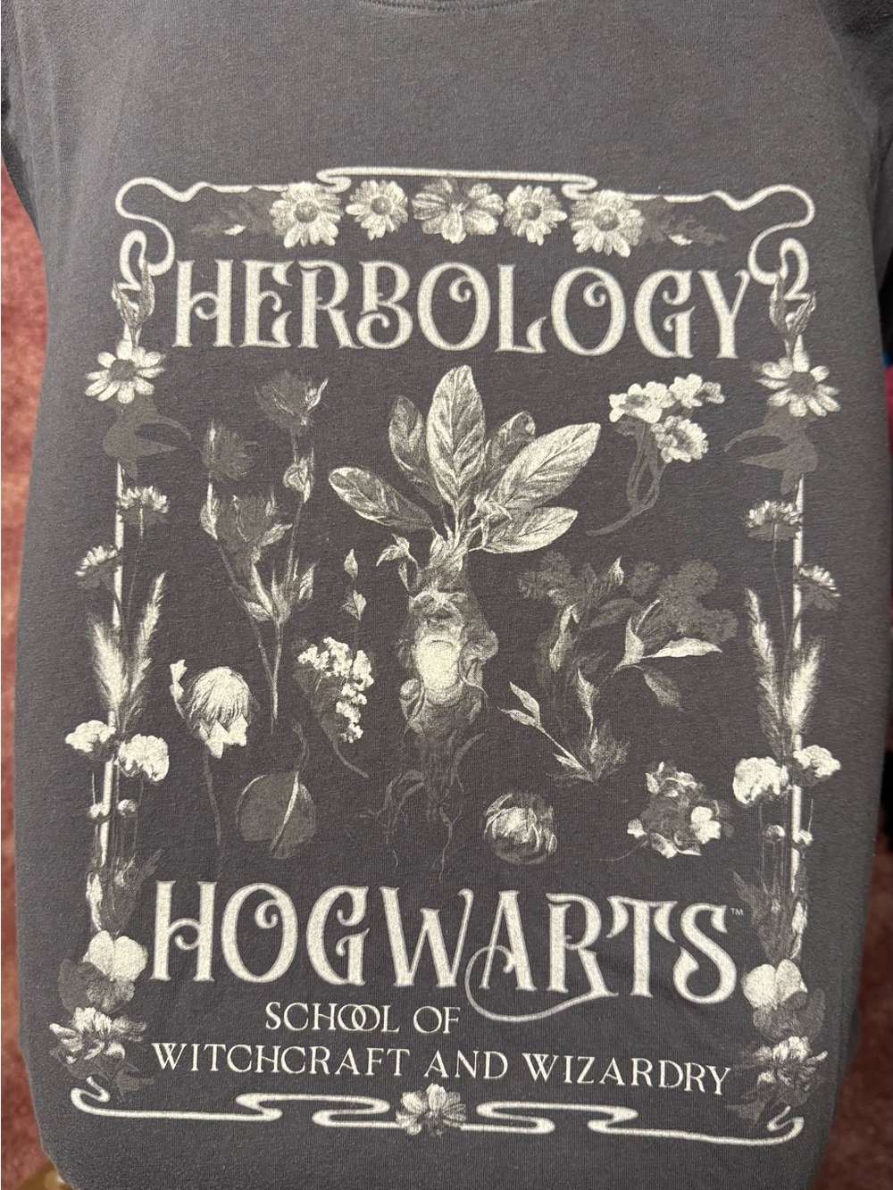 Hogwarts Herbology Graphic Tee - Gray